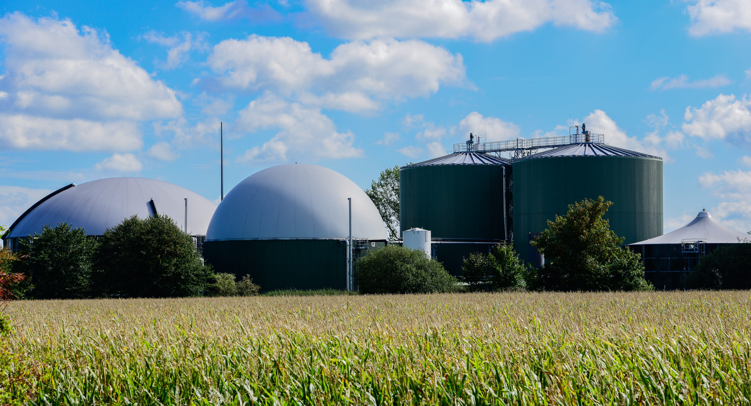 Goulburn Valley Bio Hub
